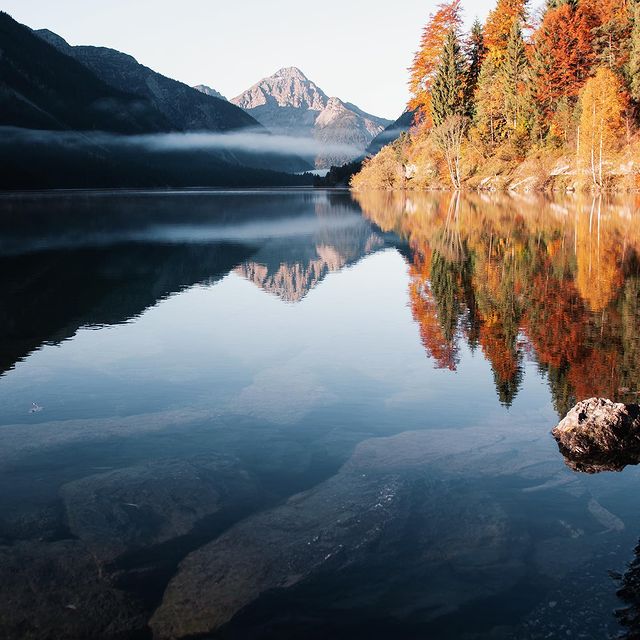 Removedigital.Com.Au - How To Remove Your Google Reviews?