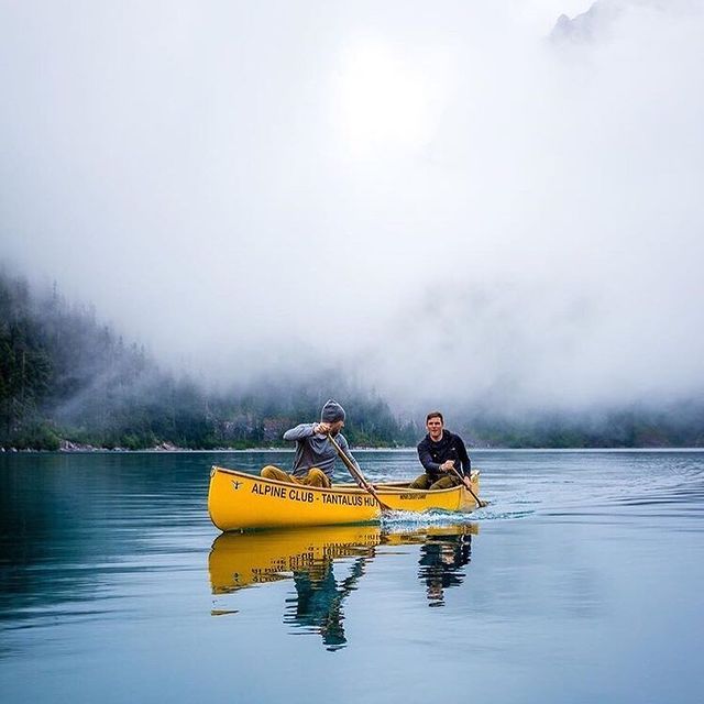 Removedigital.Com.Au - How To Remove Your Google Reviews?