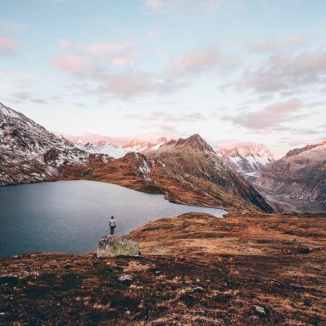 Removedigital.Com.Au - How To Remove Your Google Reviews?