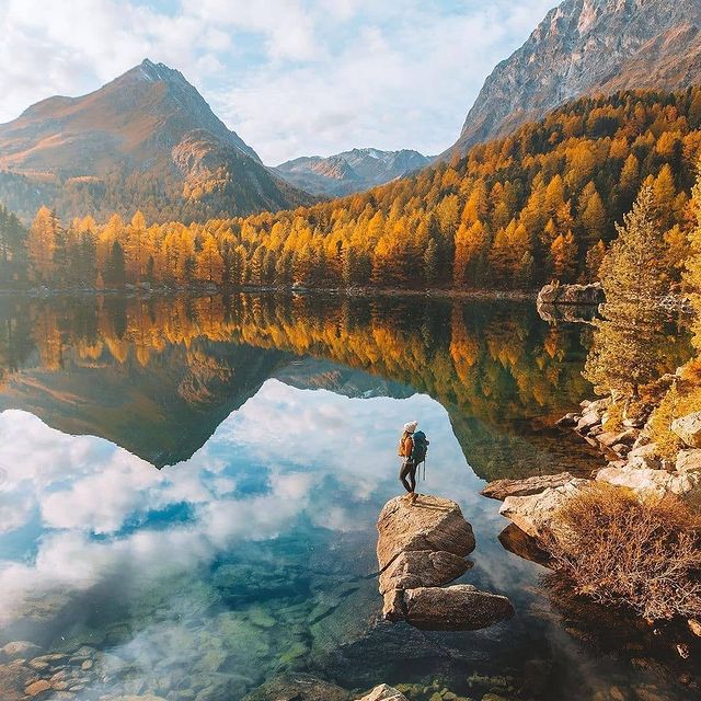 Removedigital.Com.Au - How To Remove Your Google Reviews?